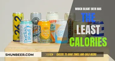 Blight Beers: Low-Calorie Options for Beer Lovers