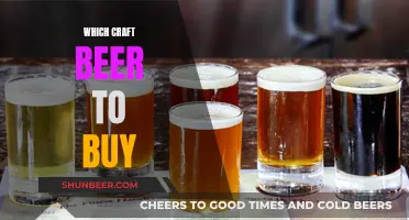 Craft Beer Conundrum: Navigating the Perfect Purchase