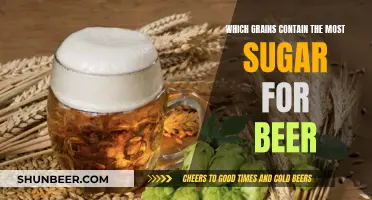 Grains With Highest Sugar Content for Brewing Beer