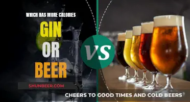 Calories in Beer vs Gin: Which Drink Wins?