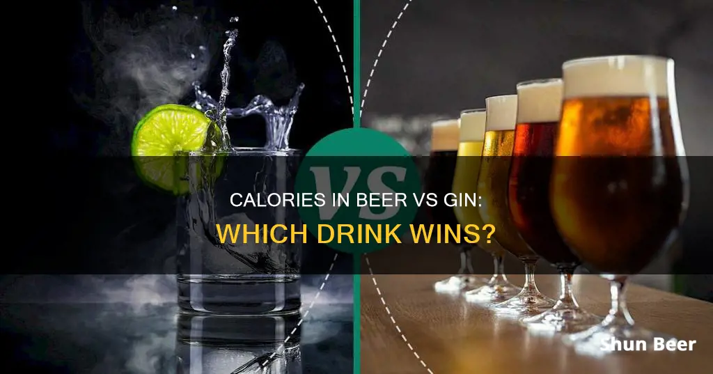 which has more calories gin or beer