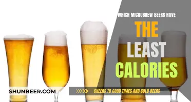 Low-Calorie Microbrews: Best Light Craft Beers