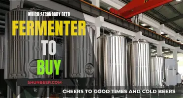 The Ultimate Guide to Choosing the Best Secondary Beer Fermenter