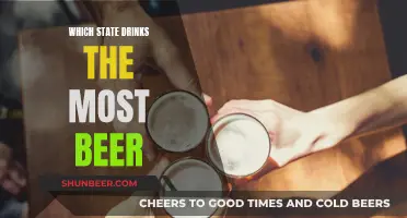 Beer Consumption: Which State Drinks the Most?