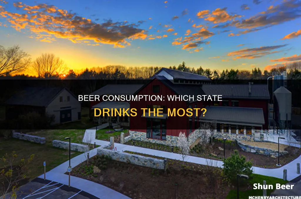 which state drinks the most beer