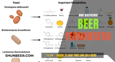 The Ancient Art of Fermentation: Uncovering Beer's Origins