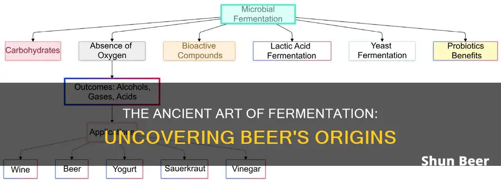 who discovered beer fermentation