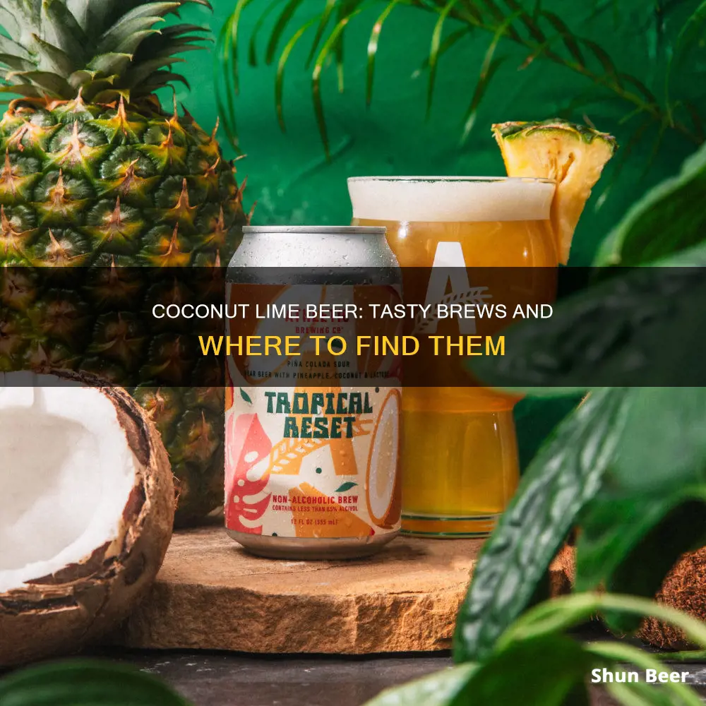 who makes coconut lime beer and where to buy it