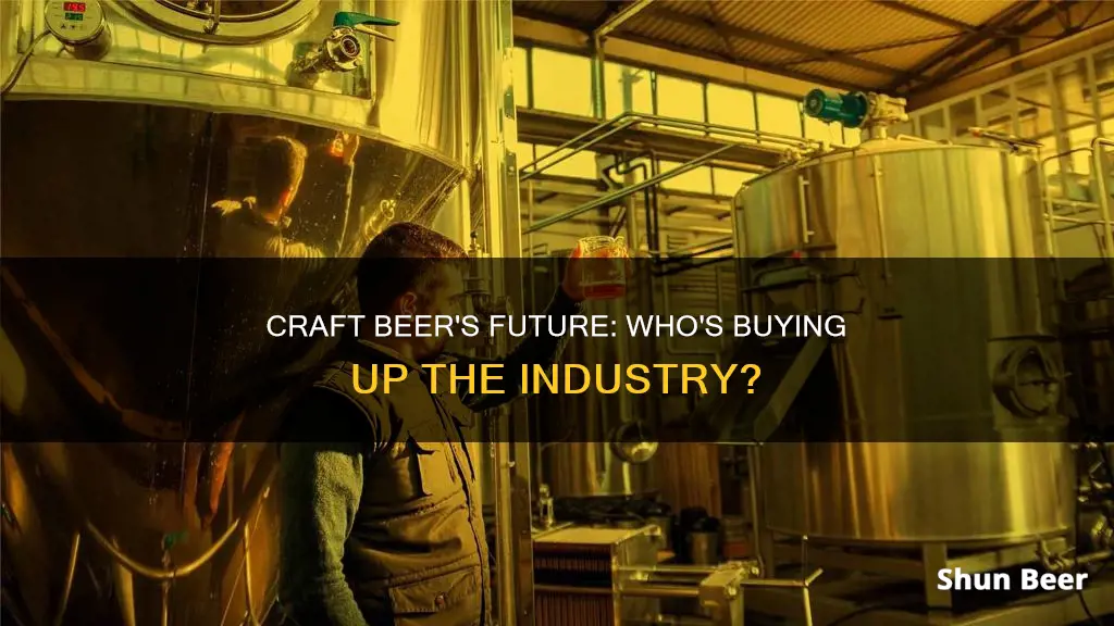 who will buy up craft beer