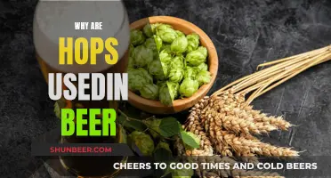 The Magic of Hops in Beer: Aroma, Flavor, and More