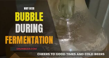 Unraveling the Mystery: Why Beer Bubbles During Fermentation