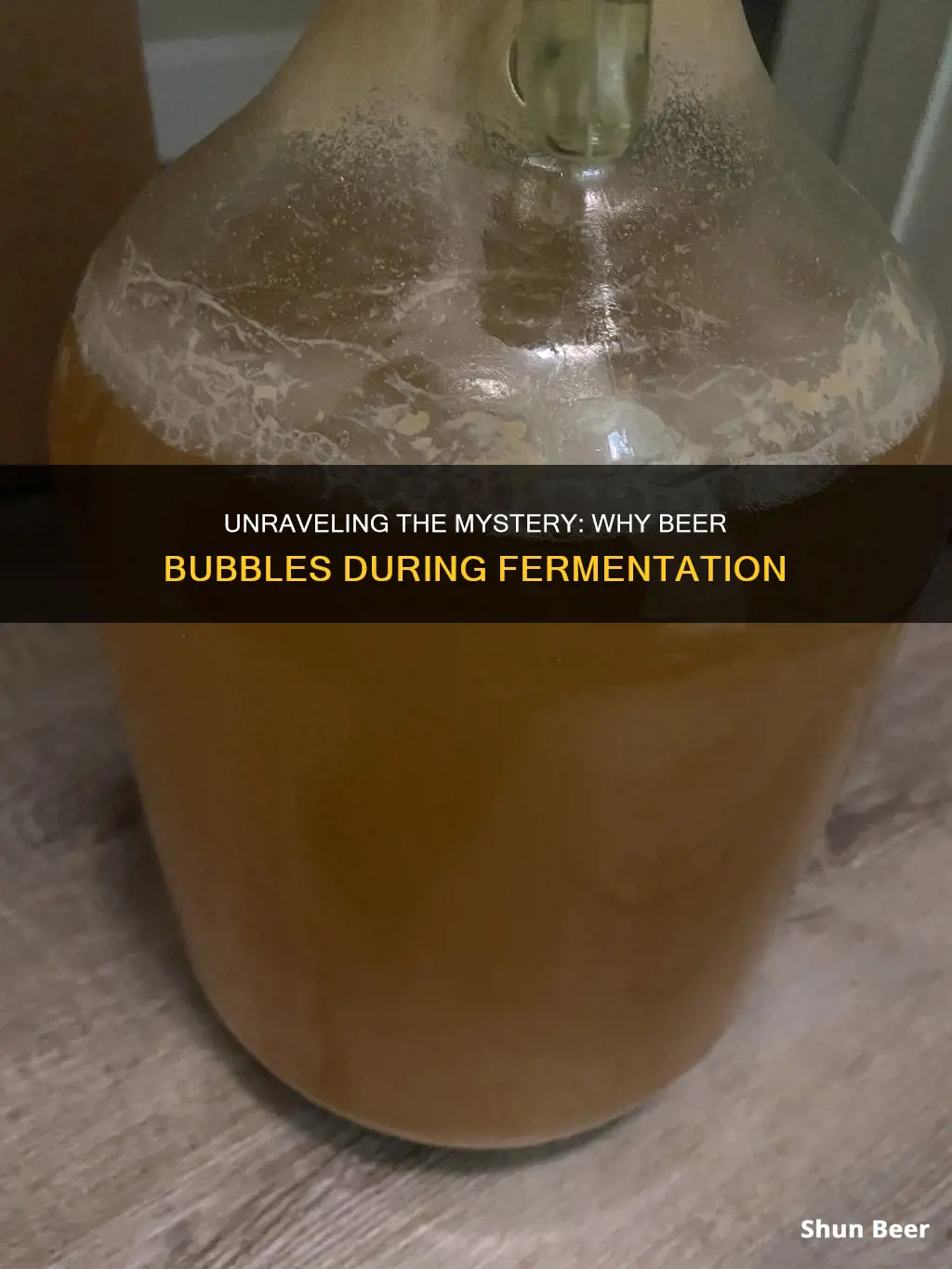 why beer bubble during fermentation