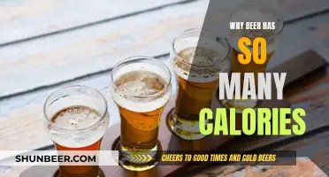 Beer Calories: Surprising Reasons Why It's So High