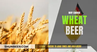 Wheat Beer: Why You Should Choose This Brew