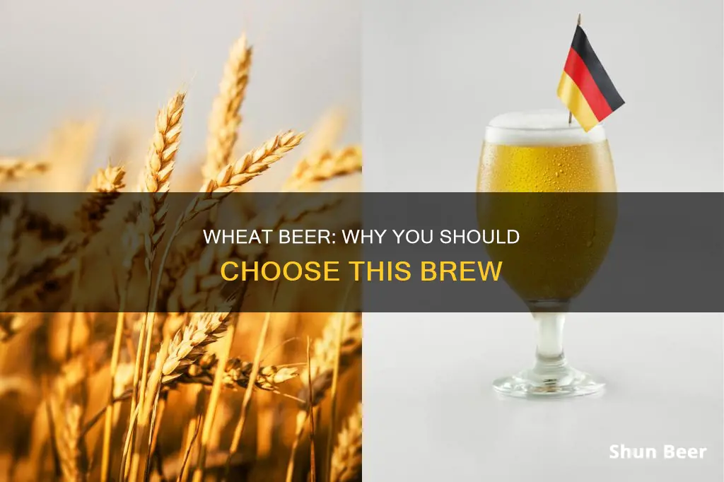 why choose wheat beer