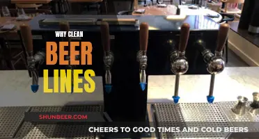 Unclog Your Craft: The Benefits of Cleaning Beer Lines