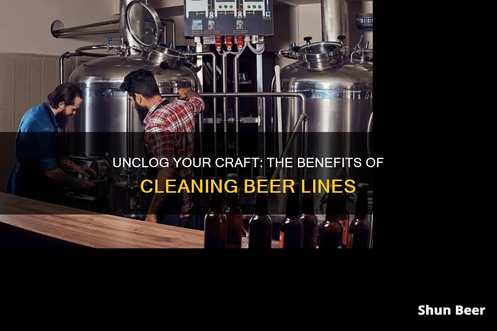 why clean beer lines