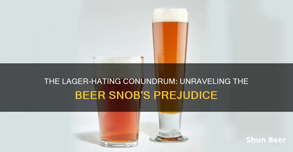 why do beer snobs hate lager