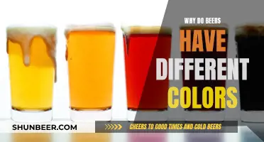 The Color of Beer: What Determines Its Hue?