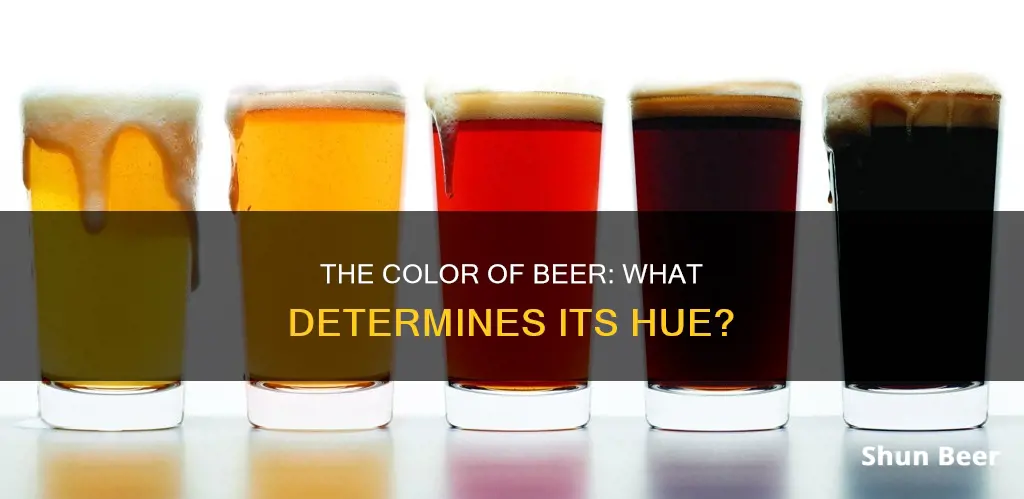 why do beers have different colors