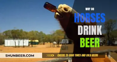 Horses Drinking Beer: Why and How Much?