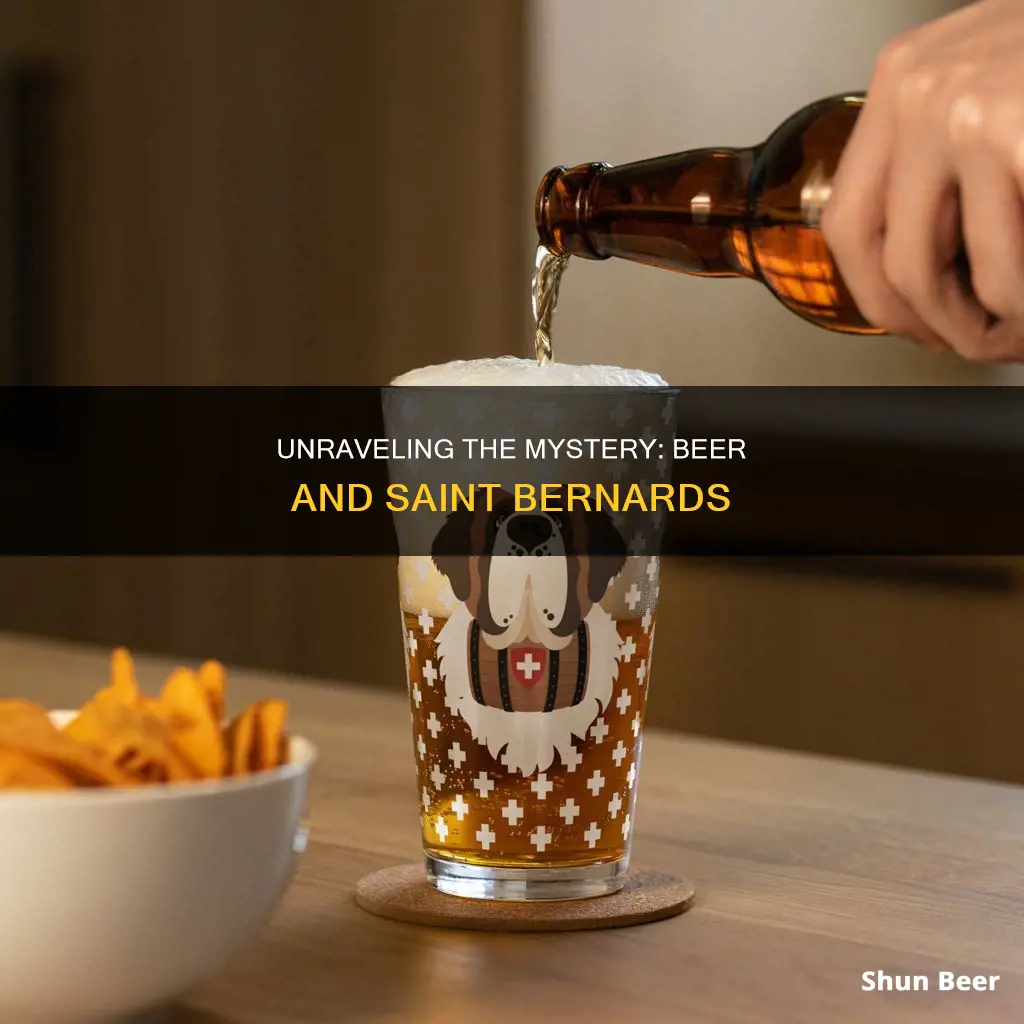 why do people put beer on saint bernards