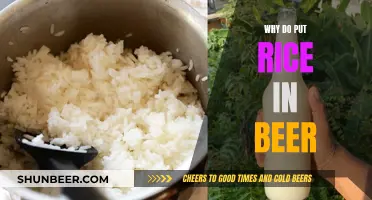 Uncovering the Mystery: Why Rice Enhances Beer's Flavor