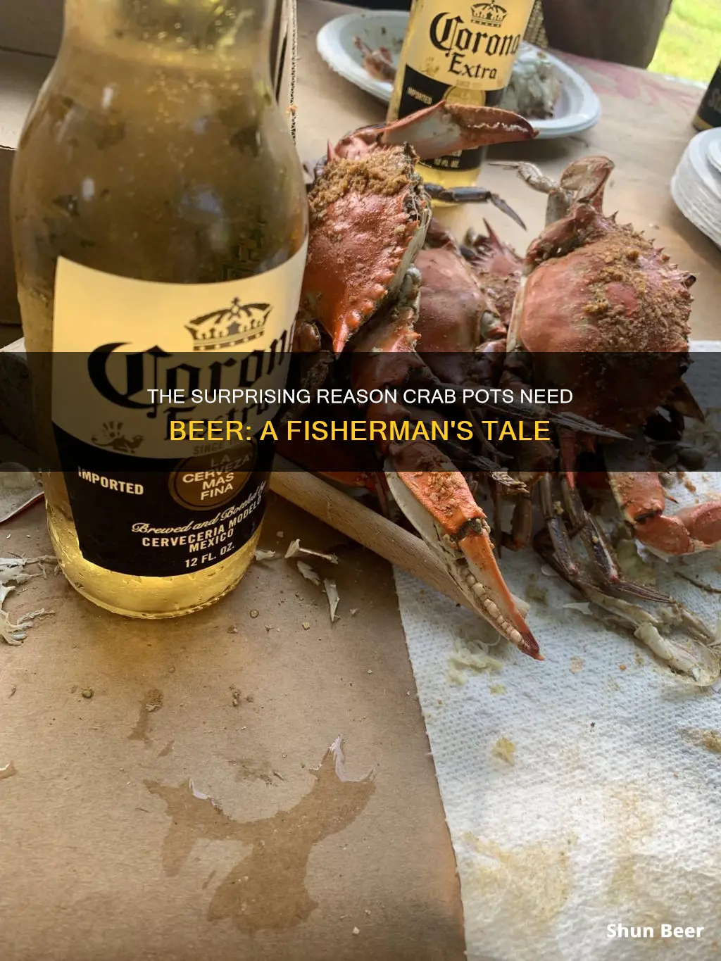 why do you put beer in crab pots