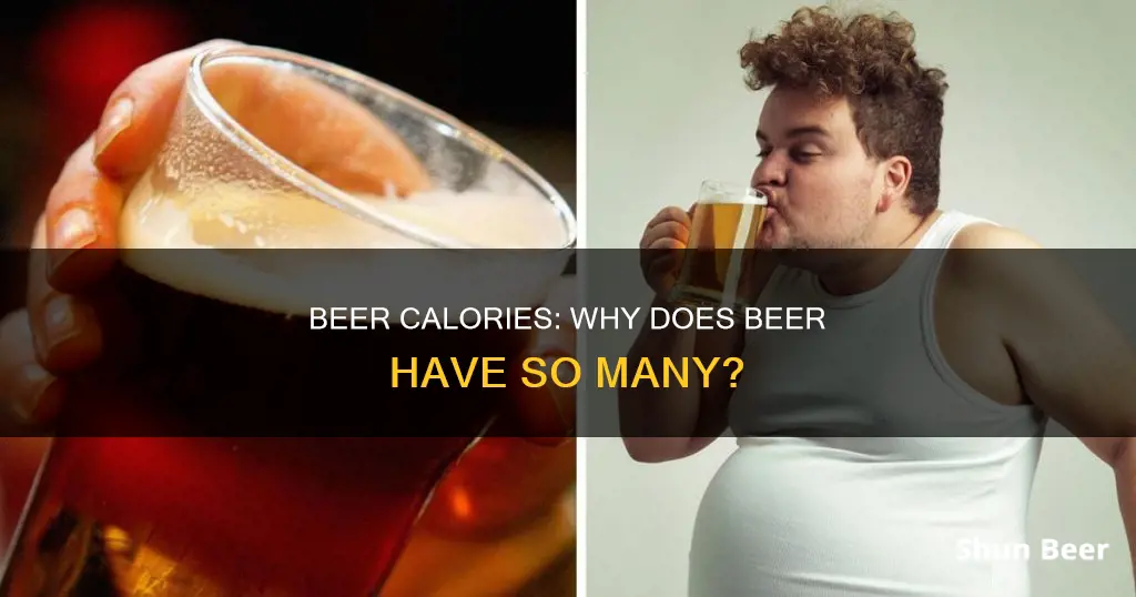 why does beer have high calories food