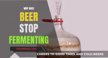 The Science of Beer's Fermentation Halt: Unlocking the Mystery