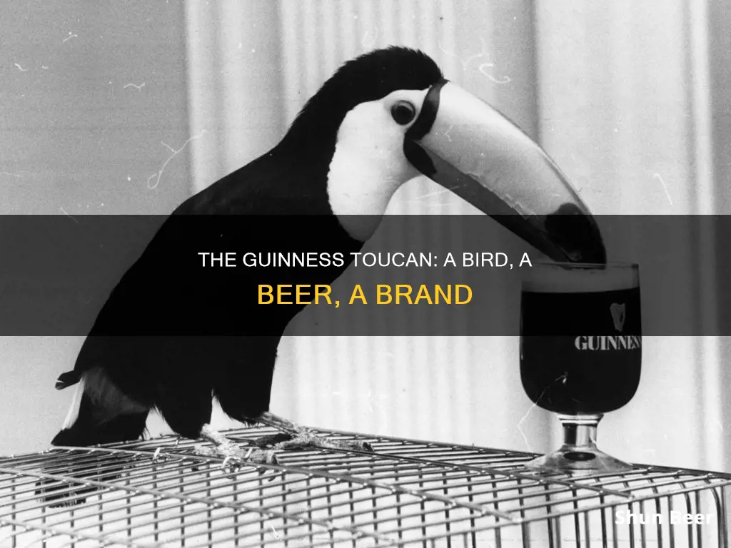 why does guinness beer have a toucan as a mascot