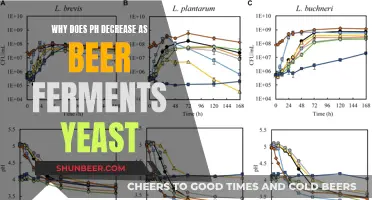 Unraveling the Magic: Why Beer's pH Drops with Yeast's Fermenting Touch