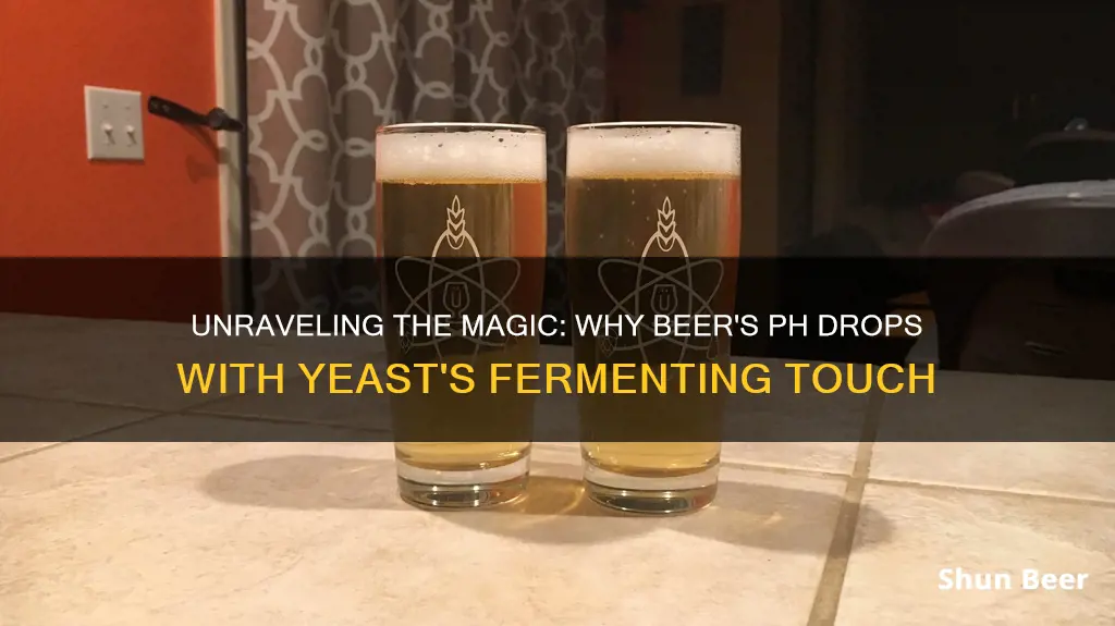 why does ph decrease as beer ferments yeast