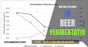 Unraveling the Mystery: Why Beer's pH Drops During Fermentation