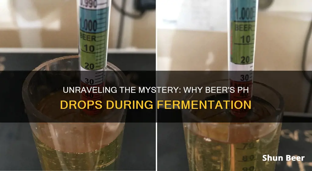 why does ph lower in beer fermentation