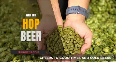 Dry Hopping Beer: Enhancing Flavor and Aroma