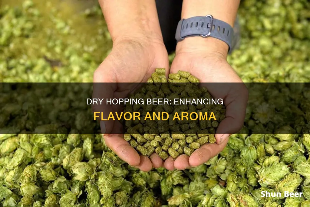 why dry hop beer