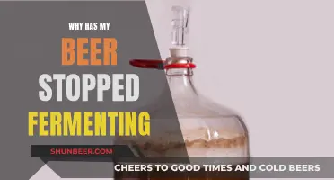 Unraveling the Mystery: Why Your Beer's Fermentation Hit a Wall