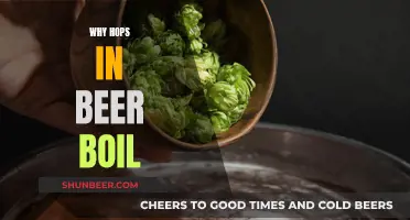 The Science of Brewing: Boiling Hops for Beer Perfection