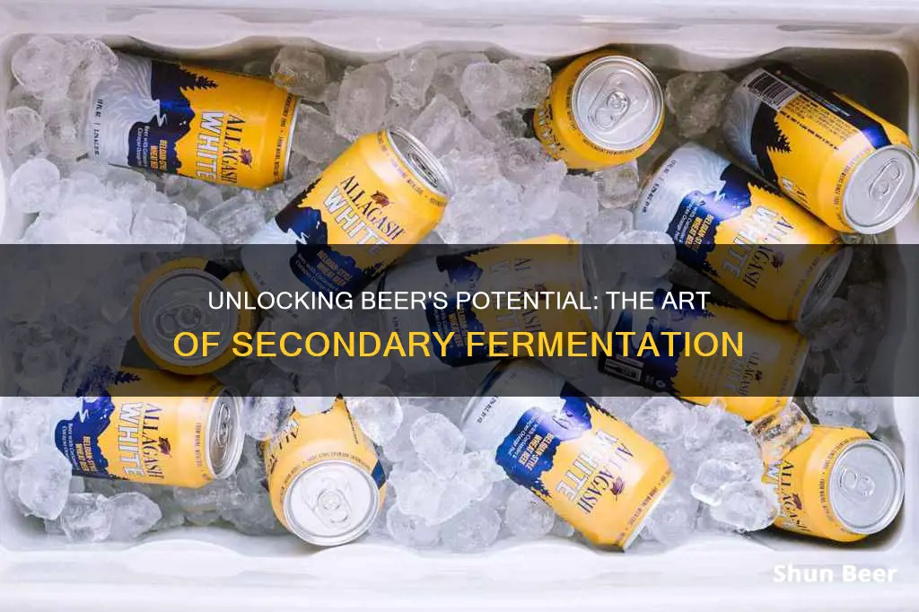 why is conditioning beer after primary fermentation important