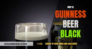 Guinness Beer's Dark Appearance: A Black Mystery Solved