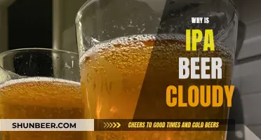 The Mystery Behind Cloudy IPAs: Brewing Science Explained