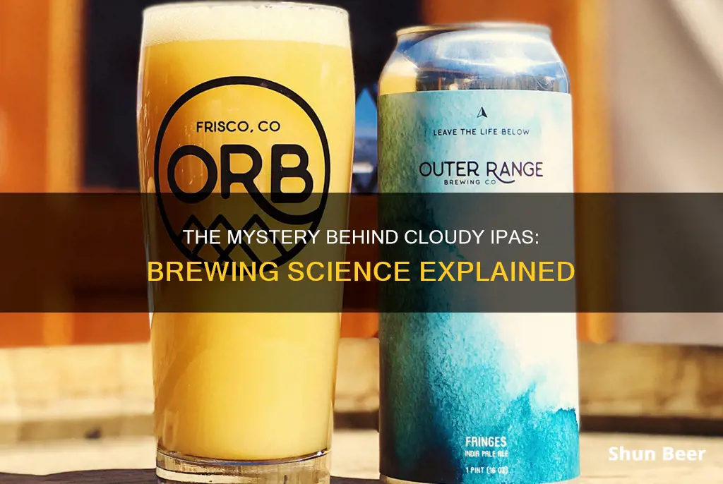 why is ipa beer cloudy