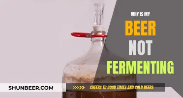 Troubleshooting: Unlocking the Mystery of Non-Fermenting Beer