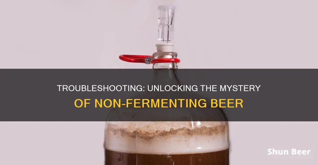 why is my beer not fermenting