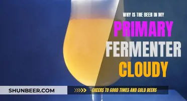 Cloudy Beer: Unraveling the Mystery of Cloudiness in Primary Fermentation