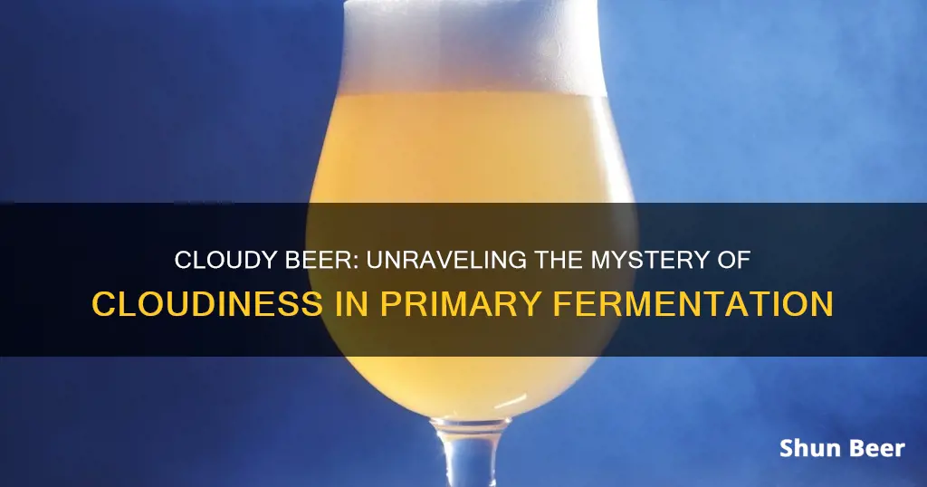 why is the beer in my primary fermenter cloudy