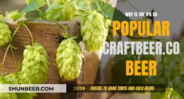 The IPA's Reign: Exploring CraftBeer.com's Popularity