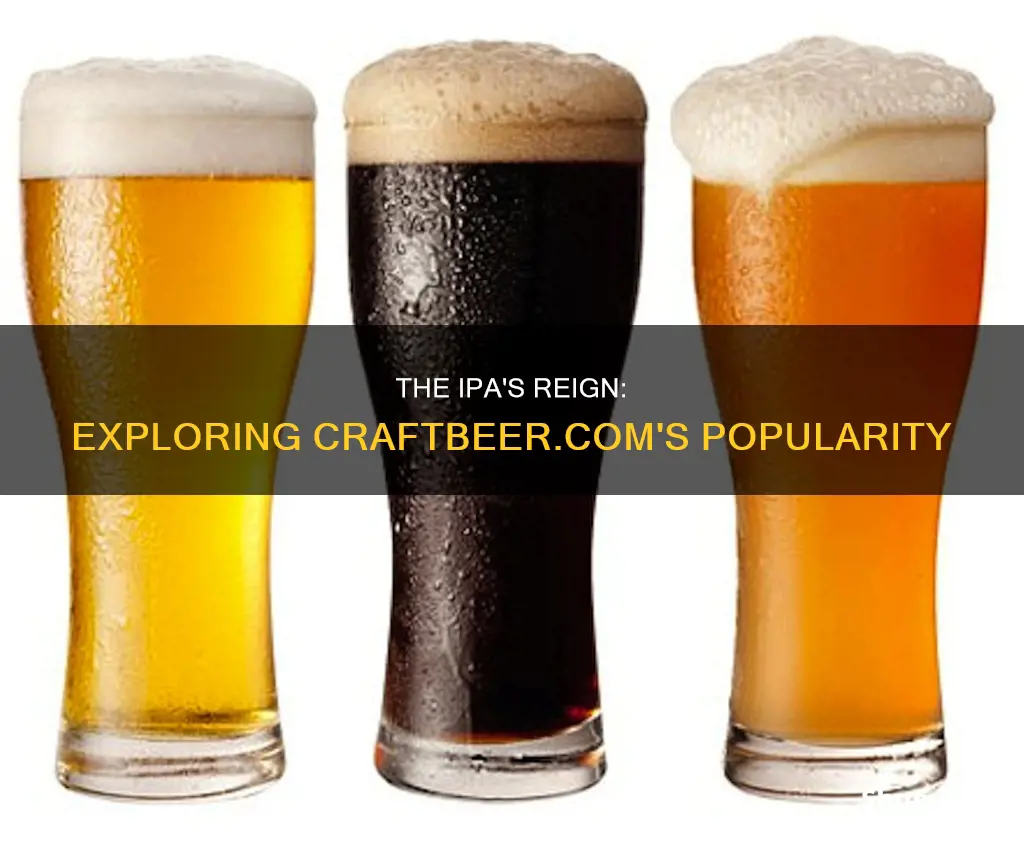 why is the ipa so popular craftbeer.comcraft beer