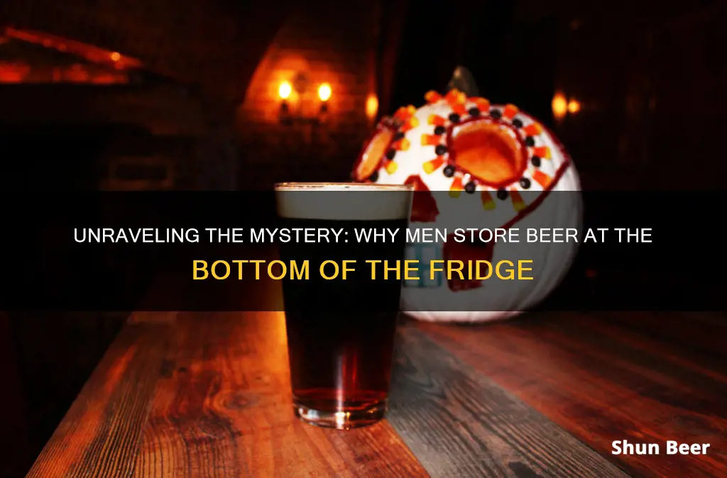 why men put beer at the bottom of the refrigerator